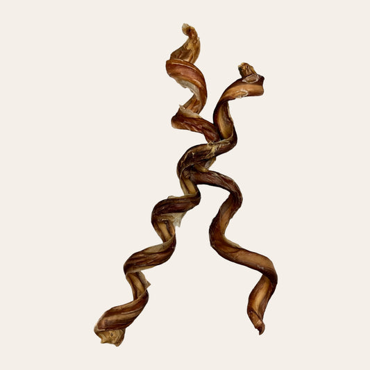 12" Curly Bully Sticks (6 Pack)